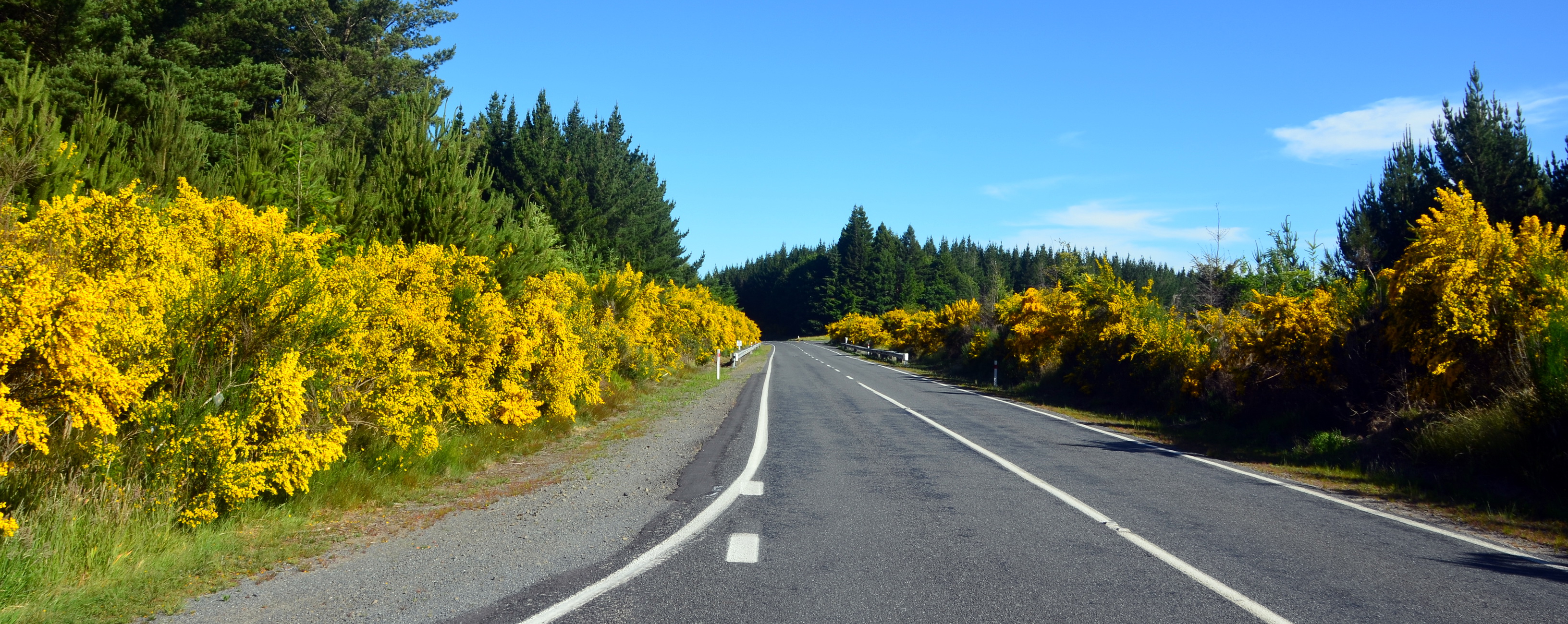 Te Urewera National Park